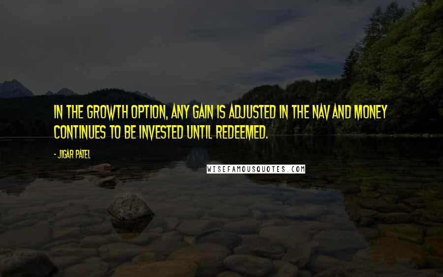 Jigar Patel Quotes: In the growth option, any gain is adjusted in the NAV and money continues to be invested until redeemed.