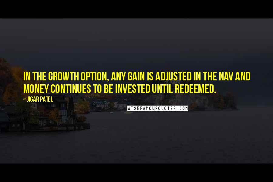 Jigar Patel Quotes: In the growth option, any gain is adjusted in the NAV and money continues to be invested until redeemed.