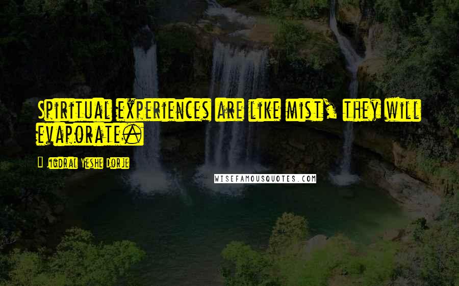 Jigdral Yeshe Dorje Quotes: Spiritual experiences are like mist, they will evaporate.