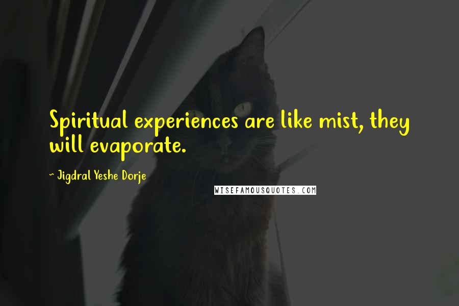 Jigdral Yeshe Dorje Quotes: Spiritual experiences are like mist, they will evaporate.