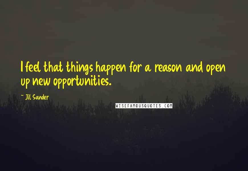 Jil Sander Quotes: I feel that things happen for a reason and open up new opportunities.