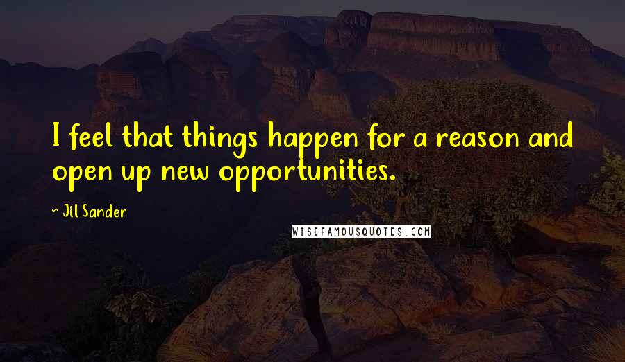 Jil Sander Quotes: I feel that things happen for a reason and open up new opportunities.