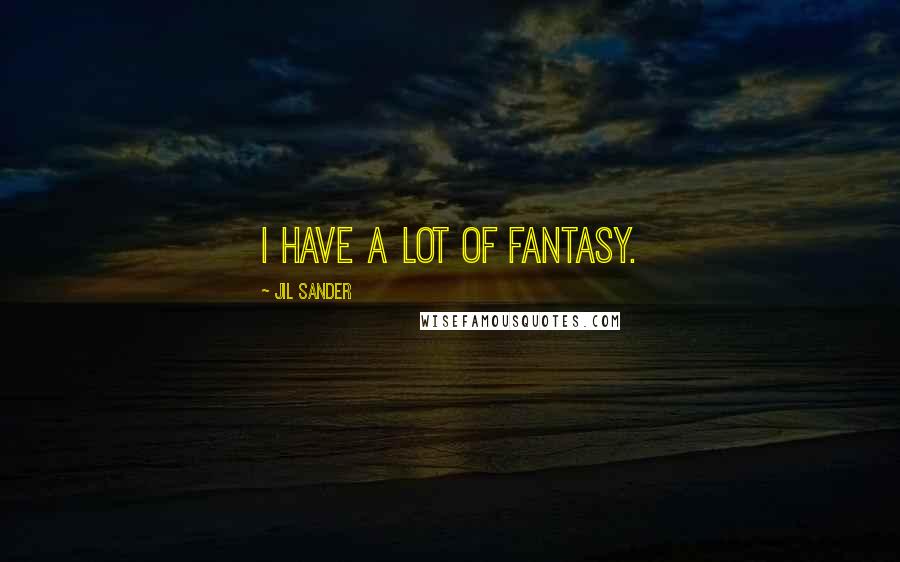 Jil Sander Quotes: I have a lot of fantasy.
