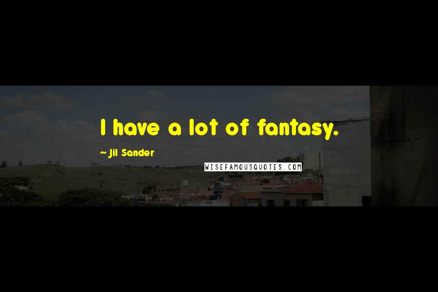 Jil Sander Quotes: I have a lot of fantasy.