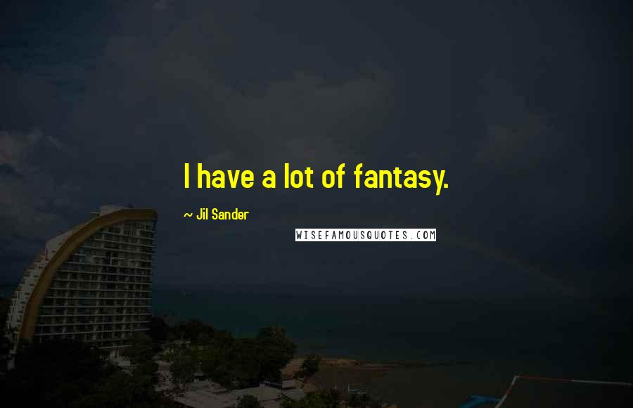 Jil Sander Quotes: I have a lot of fantasy.