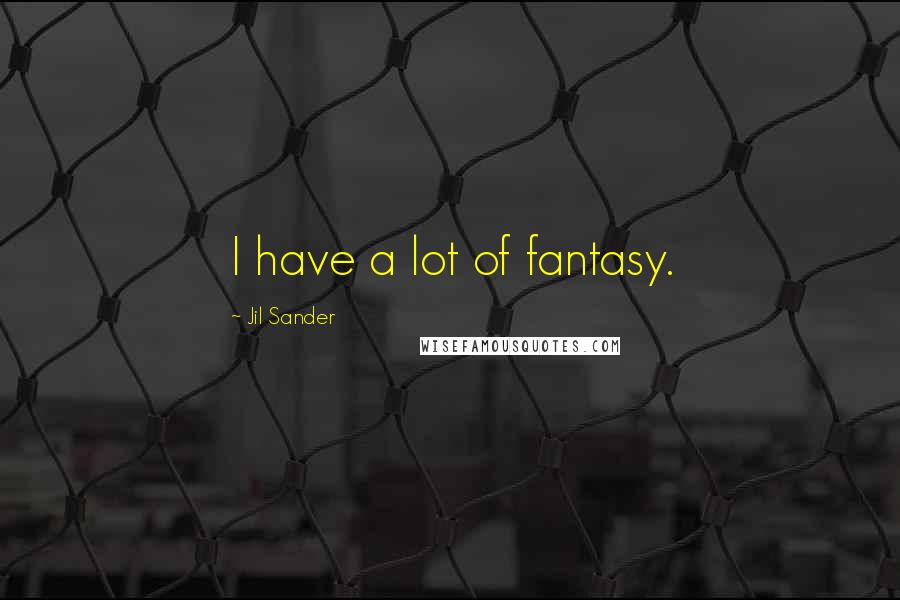 Jil Sander Quotes: I have a lot of fantasy.