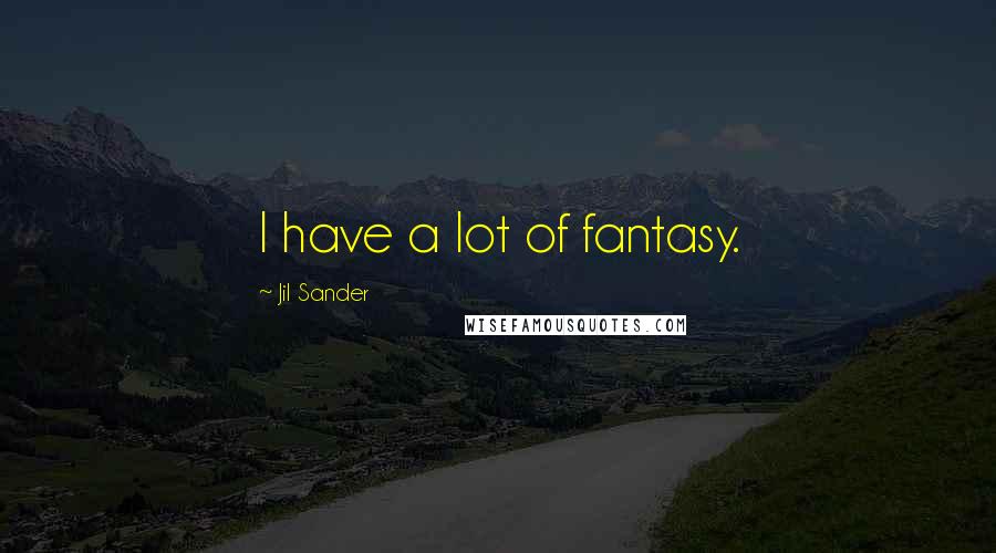 Jil Sander Quotes: I have a lot of fantasy.