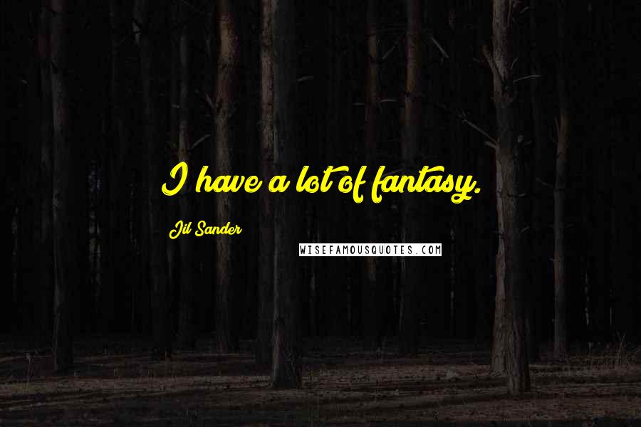 Jil Sander Quotes: I have a lot of fantasy.