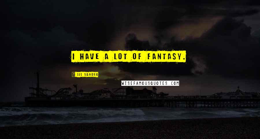 Jil Sander Quotes: I have a lot of fantasy.