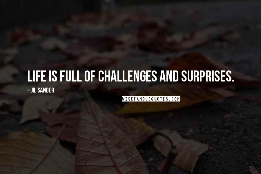 Jil Sander Quotes: Life is full of challenges and surprises.