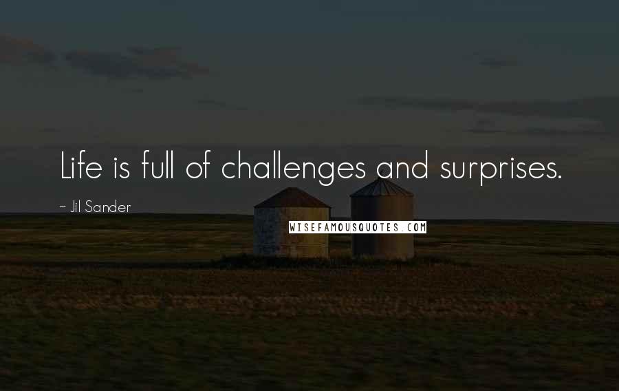 Jil Sander Quotes: Life is full of challenges and surprises.