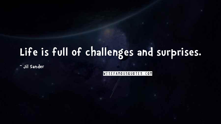 Jil Sander Quotes: Life is full of challenges and surprises.