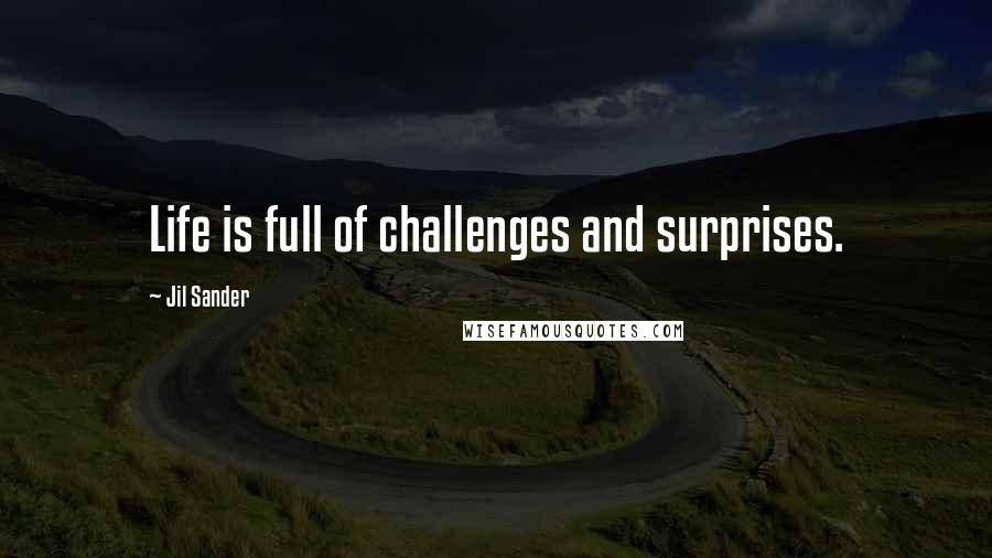 Jil Sander Quotes: Life is full of challenges and surprises.