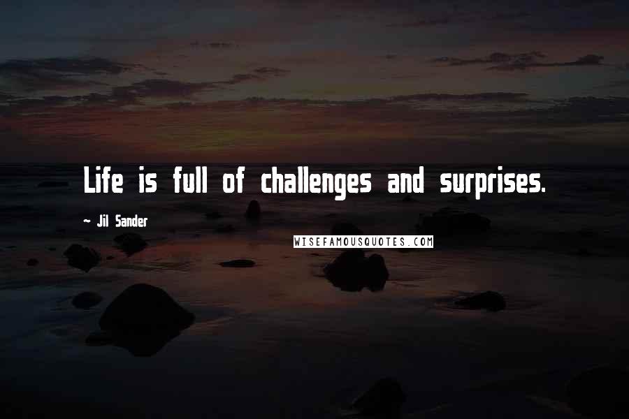 Jil Sander Quotes: Life is full of challenges and surprises.