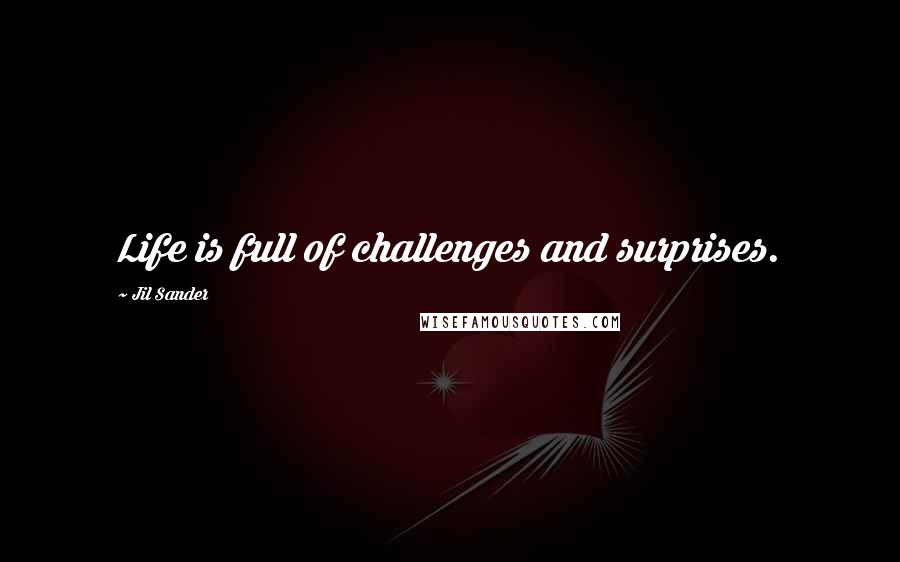 Jil Sander Quotes: Life is full of challenges and surprises.