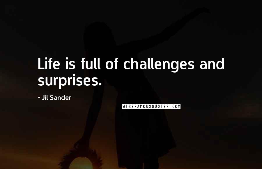 Jil Sander Quotes: Life is full of challenges and surprises.