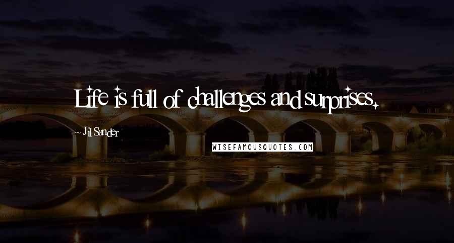 Jil Sander Quotes: Life is full of challenges and surprises.