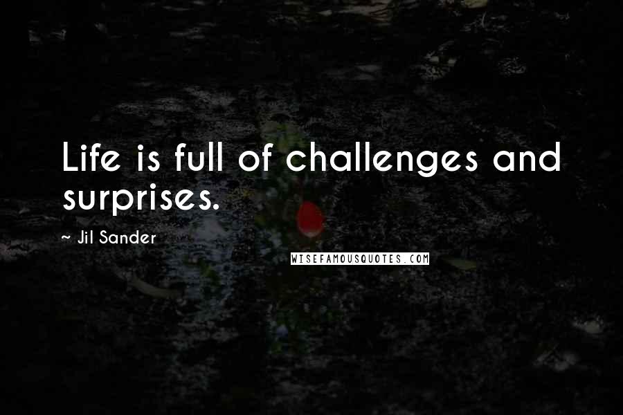 Jil Sander Quotes: Life is full of challenges and surprises.