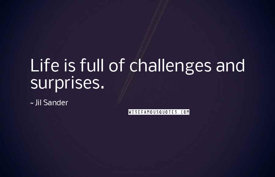 Jil Sander Quotes: Life is full of challenges and surprises.