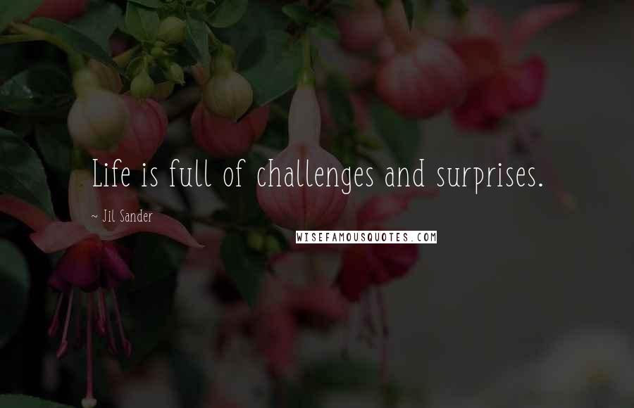 Jil Sander Quotes: Life is full of challenges and surprises.