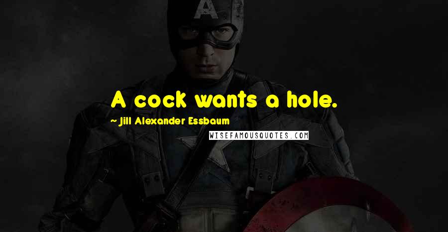 Jill Alexander Essbaum Quotes: A cock wants a hole.