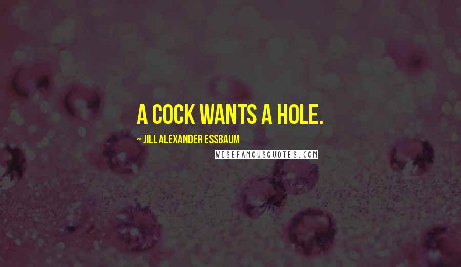 Jill Alexander Essbaum Quotes: A cock wants a hole.