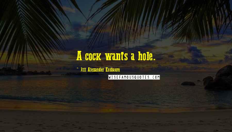 Jill Alexander Essbaum Quotes: A cock wants a hole.