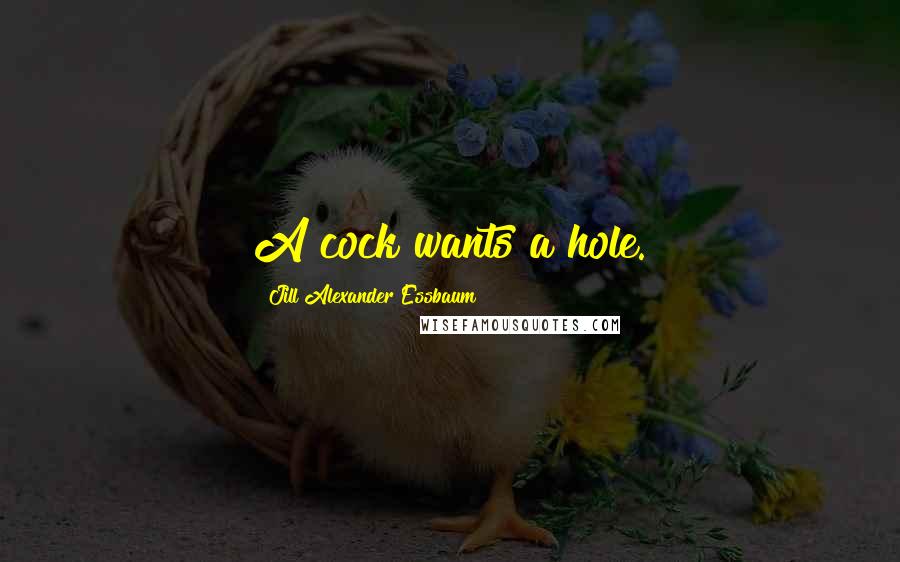 Jill Alexander Essbaum Quotes: A cock wants a hole.