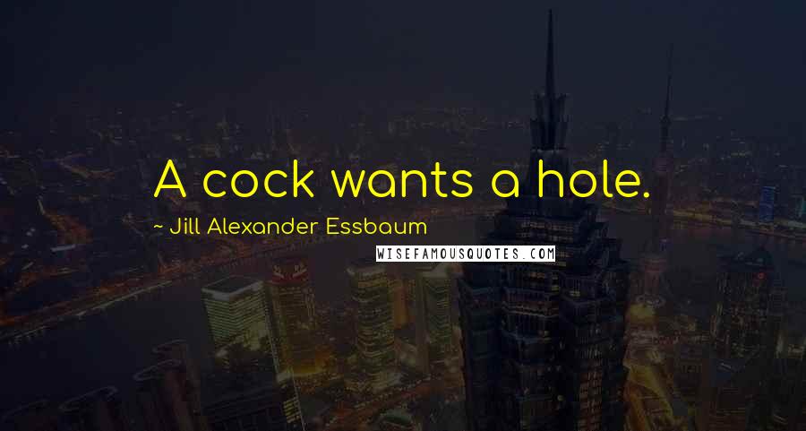 Jill Alexander Essbaum Quotes: A cock wants a hole.