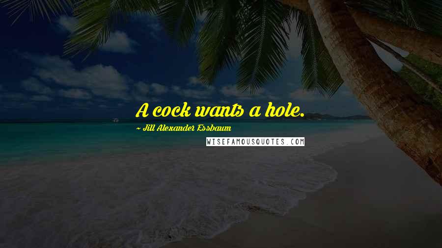 Jill Alexander Essbaum Quotes: A cock wants a hole.