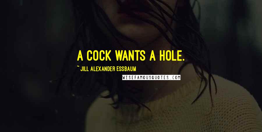 Jill Alexander Essbaum Quotes: A cock wants a hole.