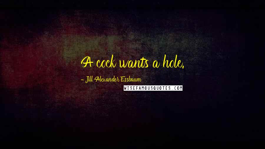 Jill Alexander Essbaum Quotes: A cock wants a hole.