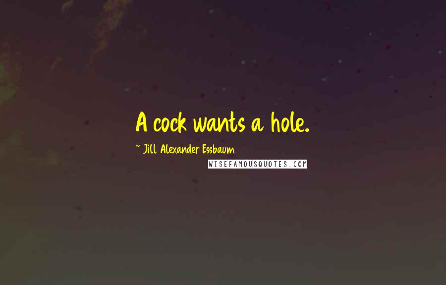 Jill Alexander Essbaum Quotes: A cock wants a hole.