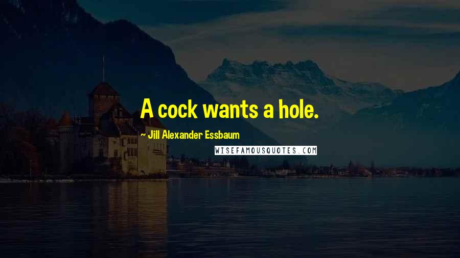 Jill Alexander Essbaum Quotes: A cock wants a hole.