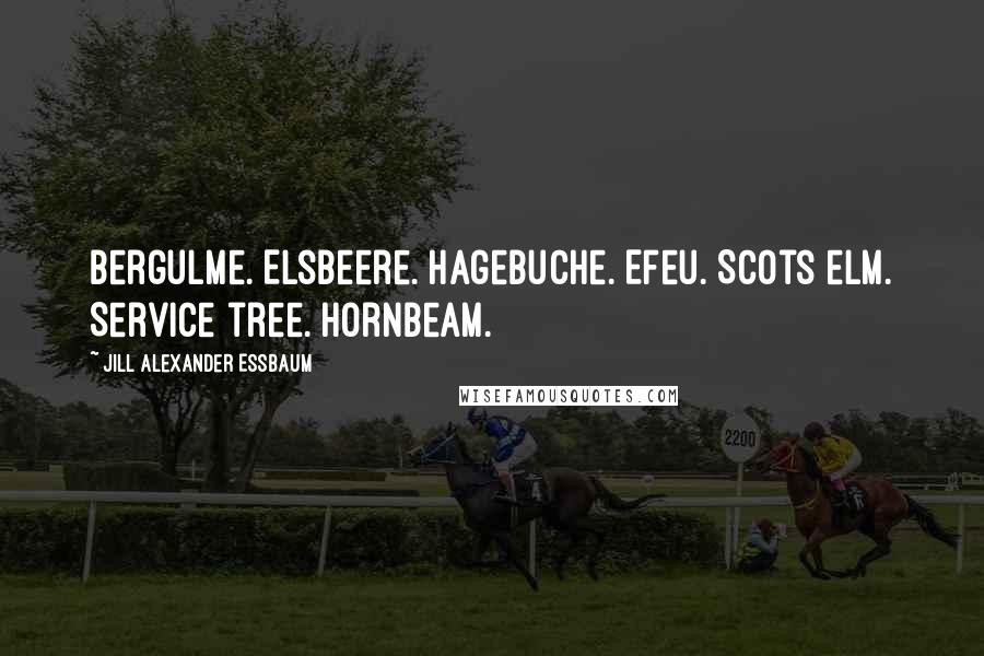 Jill Alexander Essbaum Quotes: Bergulme. Elsbeere. Hagebuche. Efeu. Scots elm. Service tree. Hornbeam.