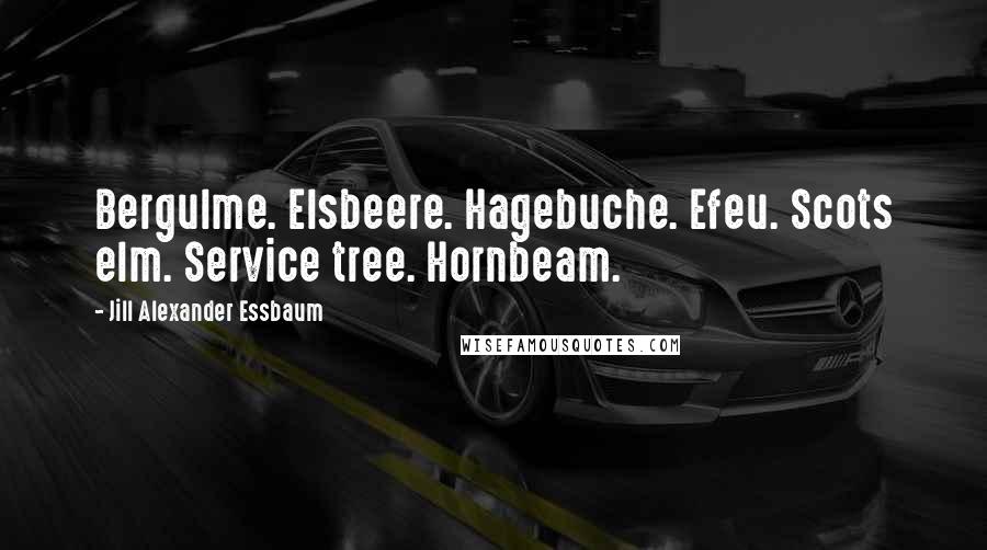 Jill Alexander Essbaum Quotes: Bergulme. Elsbeere. Hagebuche. Efeu. Scots elm. Service tree. Hornbeam.