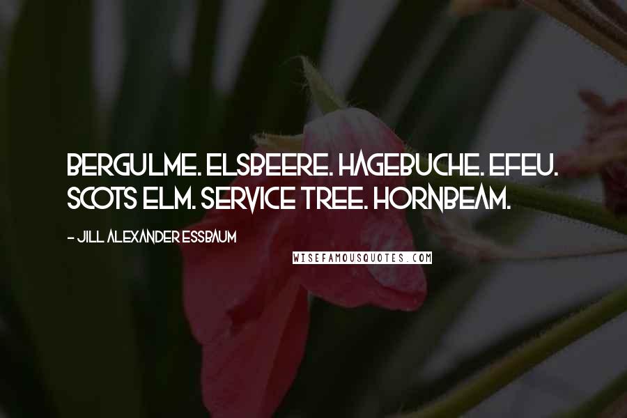 Jill Alexander Essbaum Quotes: Bergulme. Elsbeere. Hagebuche. Efeu. Scots elm. Service tree. Hornbeam.