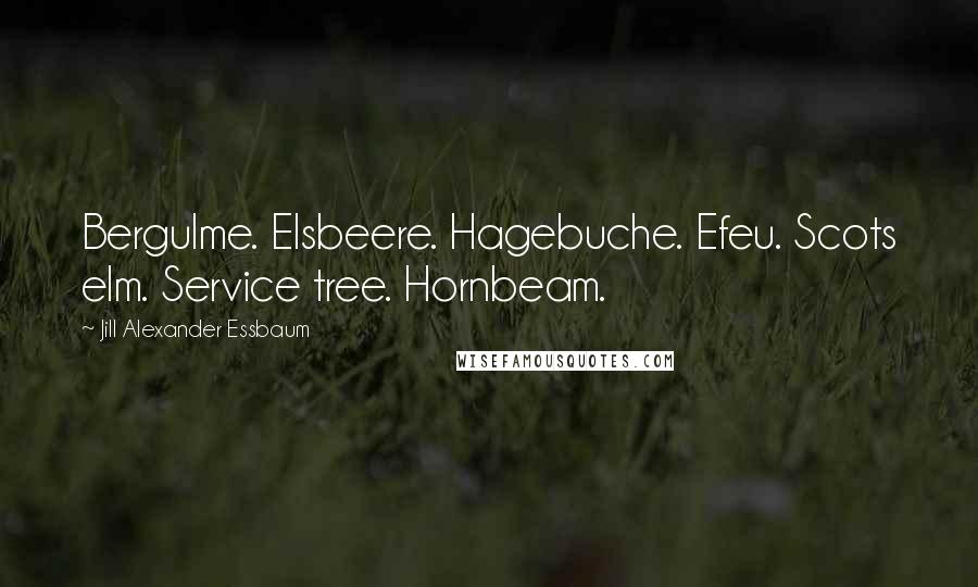 Jill Alexander Essbaum Quotes: Bergulme. Elsbeere. Hagebuche. Efeu. Scots elm. Service tree. Hornbeam.