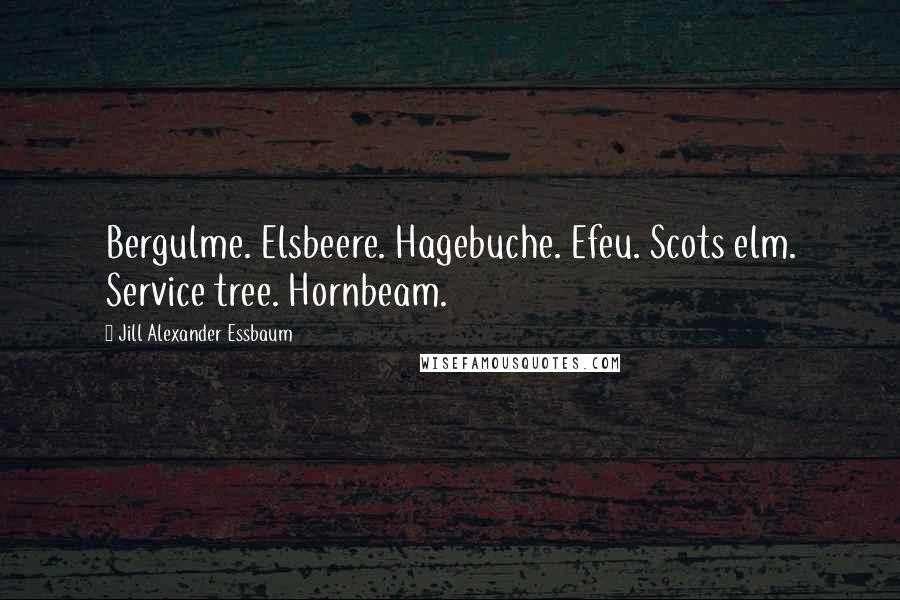 Jill Alexander Essbaum Quotes: Bergulme. Elsbeere. Hagebuche. Efeu. Scots elm. Service tree. Hornbeam.