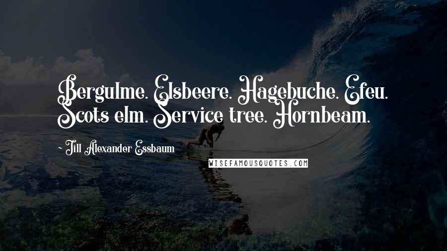 Jill Alexander Essbaum Quotes: Bergulme. Elsbeere. Hagebuche. Efeu. Scots elm. Service tree. Hornbeam.