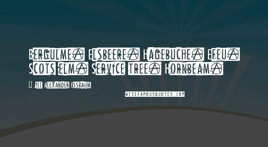 Jill Alexander Essbaum Quotes: Bergulme. Elsbeere. Hagebuche. Efeu. Scots elm. Service tree. Hornbeam.
