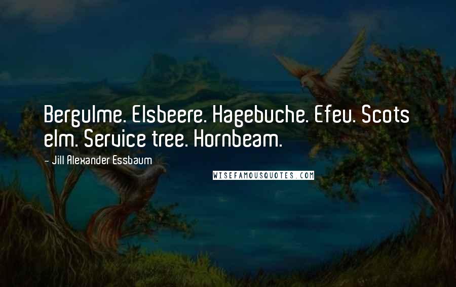 Jill Alexander Essbaum Quotes: Bergulme. Elsbeere. Hagebuche. Efeu. Scots elm. Service tree. Hornbeam.