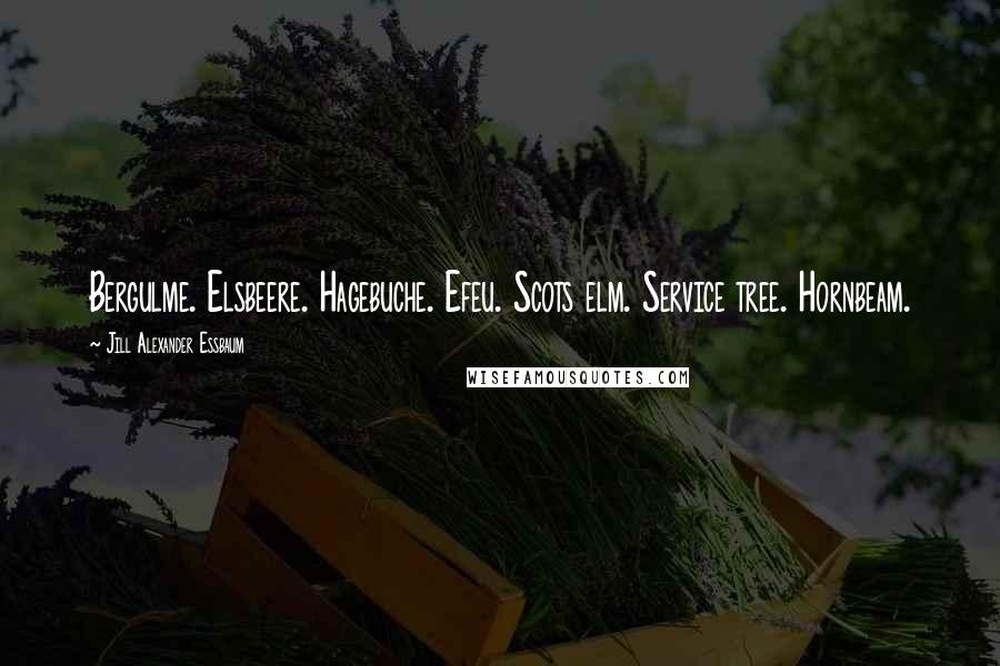 Jill Alexander Essbaum Quotes: Bergulme. Elsbeere. Hagebuche. Efeu. Scots elm. Service tree. Hornbeam.