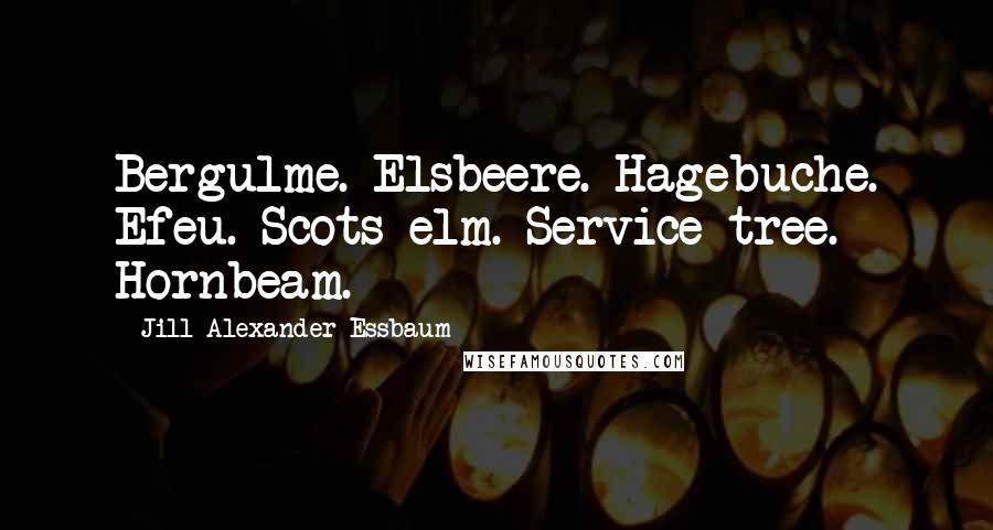 Jill Alexander Essbaum Quotes: Bergulme. Elsbeere. Hagebuche. Efeu. Scots elm. Service tree. Hornbeam.