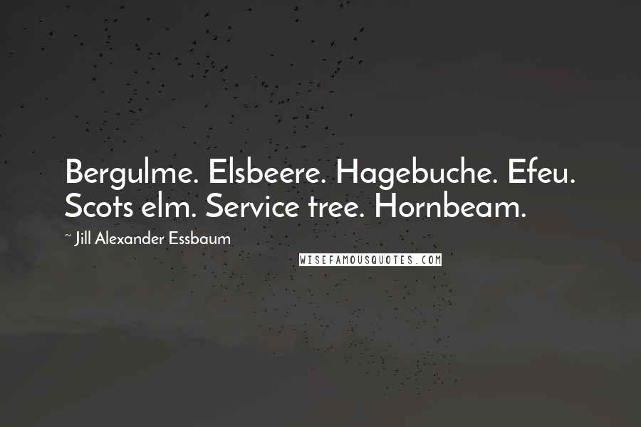 Jill Alexander Essbaum Quotes: Bergulme. Elsbeere. Hagebuche. Efeu. Scots elm. Service tree. Hornbeam.
