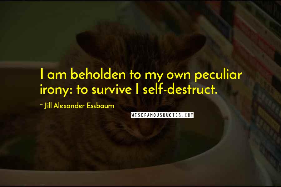 Jill Alexander Essbaum Quotes: I am beholden to my own peculiar irony: to survive I self-destruct.