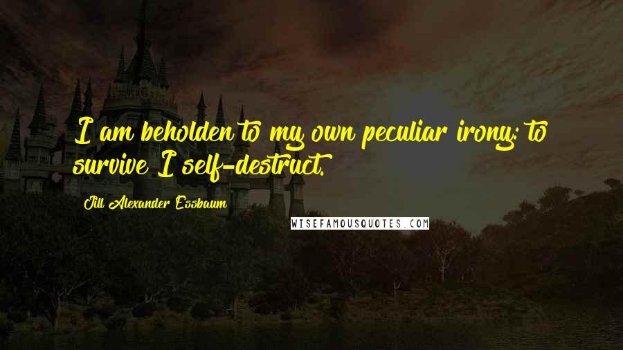 Jill Alexander Essbaum Quotes: I am beholden to my own peculiar irony: to survive I self-destruct.