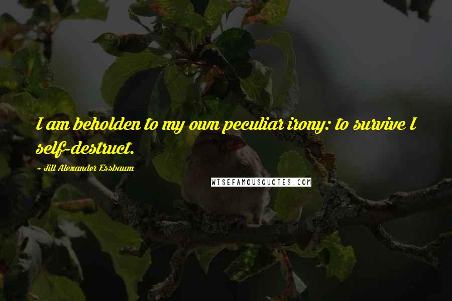 Jill Alexander Essbaum Quotes: I am beholden to my own peculiar irony: to survive I self-destruct.