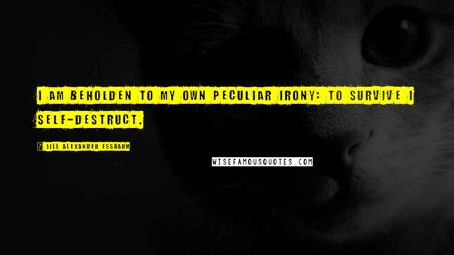 Jill Alexander Essbaum Quotes: I am beholden to my own peculiar irony: to survive I self-destruct.