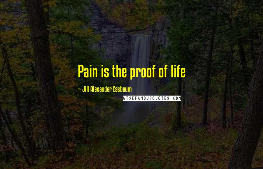 Jill Alexander Essbaum Quotes: Pain is the proof of life